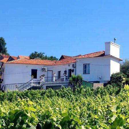 فيلا Casa Ceci Douro Cidadelhe  المظهر الخارجي الصورة