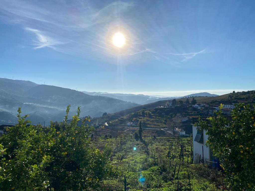 فيلا Casa Ceci Douro Cidadelhe  المظهر الخارجي الصورة