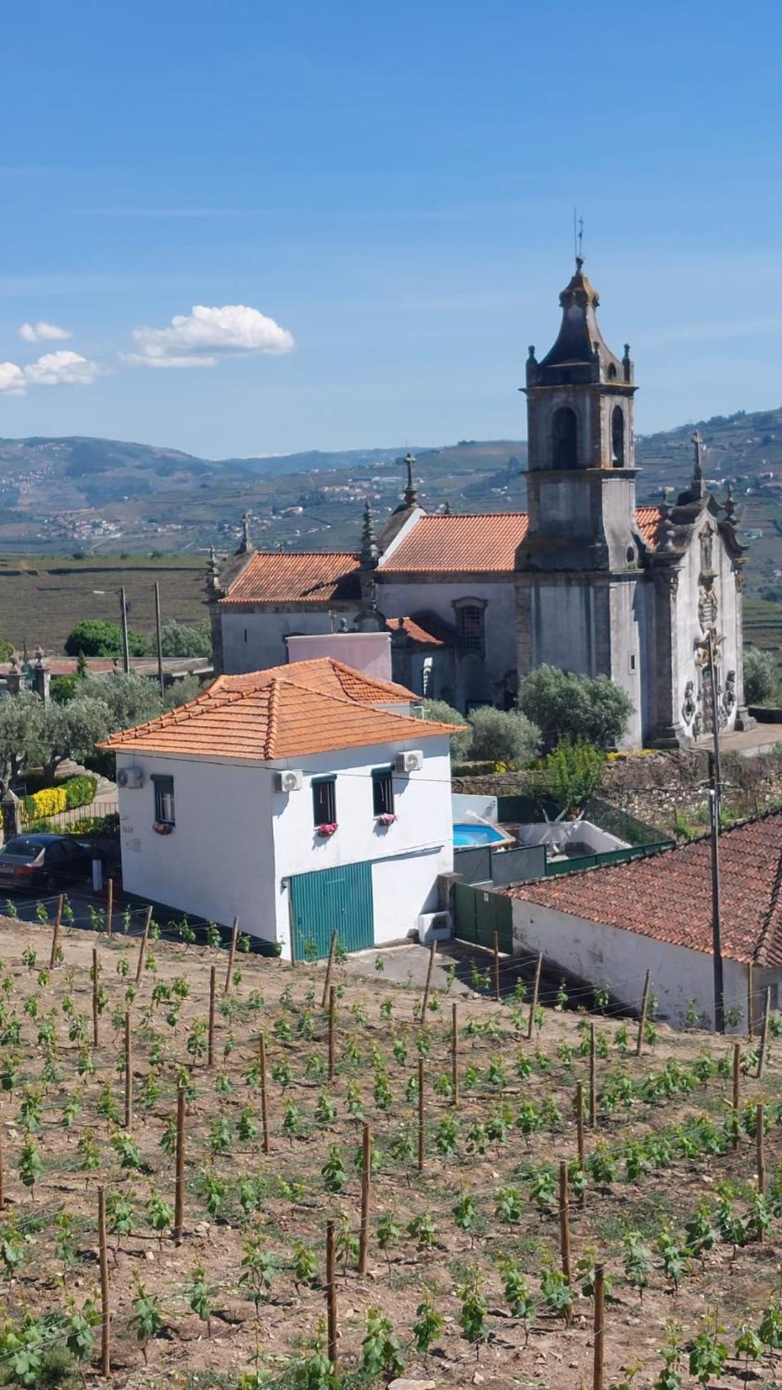 فيلا Casa Ceci Douro Cidadelhe  المظهر الخارجي الصورة