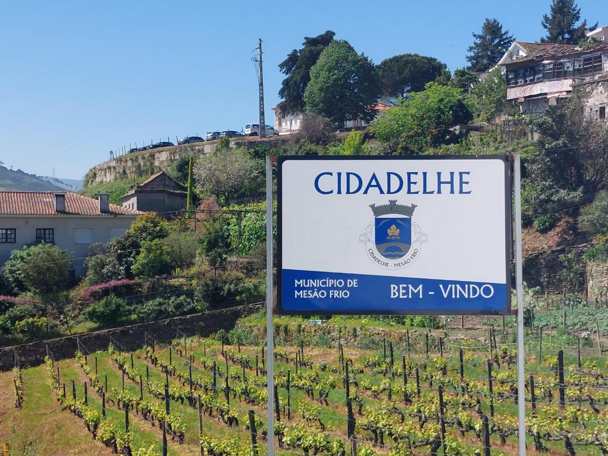 فيلا Casa Ceci Douro Cidadelhe  المظهر الخارجي الصورة
