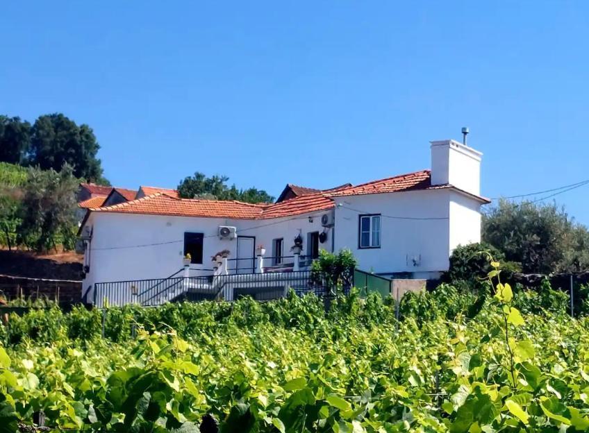 فيلا Casa Ceci Douro Cidadelhe  المظهر الخارجي الصورة